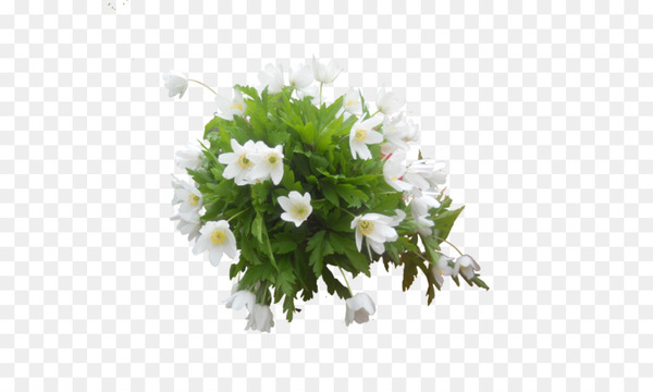 floral design,cut flowers,flower,flower bouquet,artificial flower,plant,flowering plant,herbaceous plant,flower arranging,floristry,png