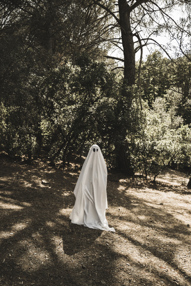 tree,halloween,forest,space,black,person,white,eyes,park,walking,shadow,ghost,horror,costume,dead,woods,scary,sunny,fear,alone