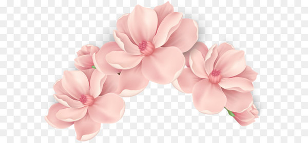 flower,pink flowers,pink,floral design,rose,cut flowers,encapsulated postscript,color,red,floristry,petal,peach,blossom,wedding ceremony supply,flower arranging,cherry blossom,png