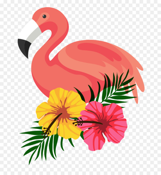 flamingo,encapsulated postscript,desktop wallpaper,download,drawing,flower,beak,bird,chicken,flowering plant,petal,water bird,rooster,galliformes,art,floral design,png