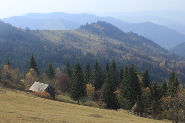 autumn,tree,hill,mountain,cabin,shack,nature,warm