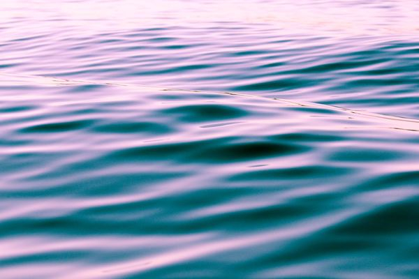 aesthetic,blue,yellow,nature,plant,green,background,sea,sunset,water,water ripple,water texture,texture,purple,water reflection,wave,ocean,sea,lake,background,calm,free pictures
