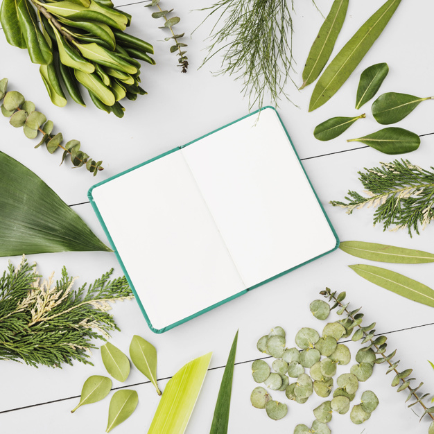 ornament,green,table,space,cute,leaves,tropical,square,notebook,flat,plant,organic,natural,ecology,open,life,studio,wooden,wood table