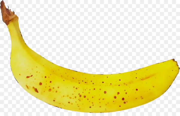 banana,cooking banana,yellow,cooking,banana family,fruit,cooking plantain,plant,food,saba banana,superfood,png