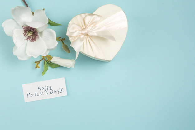 overhead,lay,arrangement,inscription,phrase,small,composition,bloom,stem,horizontal,flat lay,petal,mothers,top view,top,day,decor,bright,beautiful,festive,view,blossom,fresh,word,happy mothers day,band,message,package,natural,decoration,plant,flat,present,shape,letter,holiday,colorful,text,bow,happy,celebration,spring,gift box,table,blue,box,green,paper,gift,blue background,design,heart,floral,ribbon,flower,background