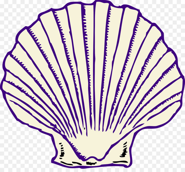 clam,seashell,oyster,pectinidae,drawing,computer icons,mollusc shell,pearl,conch,purple,leaf,line,organism,area,plant,petal,artwork,png
