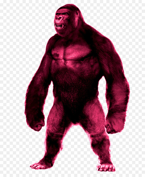 western gorilla,character,fur,fiction,gorilla,primate,fictional character,muscle,png