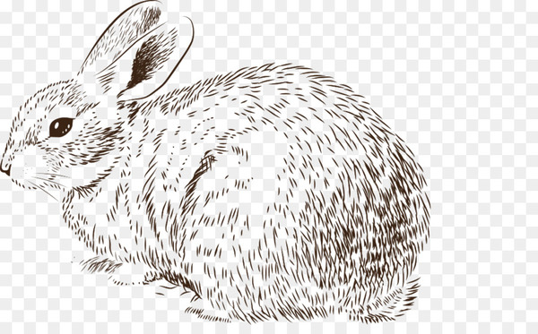 easter bunny,rabbit,drawing,photography,stock photography,shutterstock,royaltyfree,wildlife,rabits and hares,hare,whiskers,wood rabbit,mammal,fauna,domestic rabbit,black and white,png
