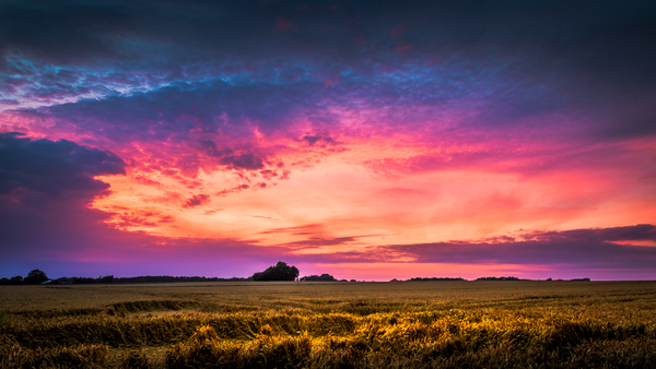 backlit,beautiful,blue,bright,bright colours,calmness,clouds,cloudscape,color,colors,countryside,crops,dark,dawn,dramatic,dusk,environment,evening,evening sun,field,grass,horizon,idyllic,landscape,light,mood,moody,natural,nature,outdoors,pink,rural,scenery,scenic,silhouette,sky,summer,sun,sunset,tranquil,travel,trees,weather,Free Stock Photo