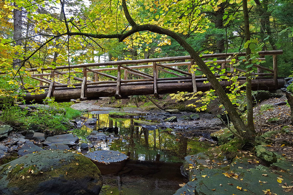 wooden bridge,small wooden bridge,log bridge,footbridge,bridge pictures,pictures of bridges,bridge images,bridge photos,bridge photo,foot bridge,bridge pics,picture bridge,trestle bridge,forest images,forest stock photo,high resolution forest images,beautiful forest pictures,beautiful forest images,images of trees,tree images,forest photos,forest photography