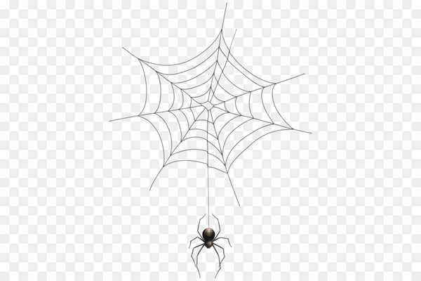 spider,halloween,spider web,royaltyfree,encapsulated postscript,photography,drawing,line art,leaf,symmetry,point,monochrome photography,invertebrate,circle,black and white,monochrome,line,white,structure,png