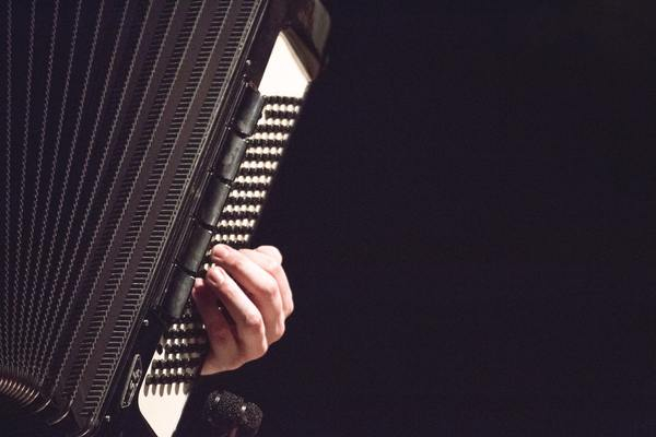 man,musician,accordian,playing,music,classical,hand,male