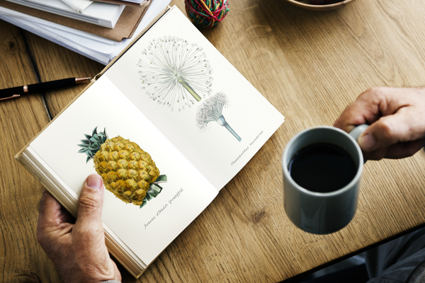 break time,close up,coffee,cup,drawing,fiction,hobby,leisure,novel,open,pages,papers,pineapple,reading,story,wooden table