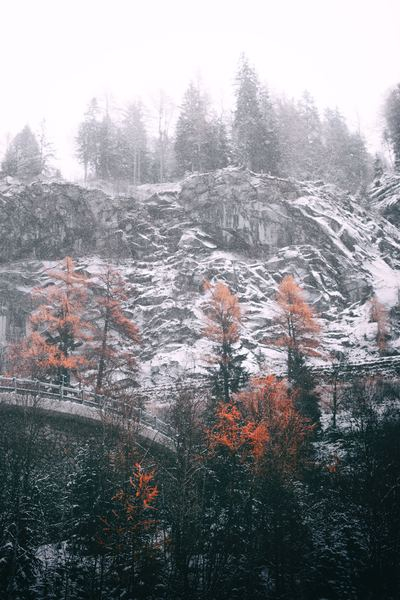 landscape,forest,lake,room,wallpaper,sunset,wintet,snow,winter,forest,rock,tree,cliff,snowing,storm,snow,cold,winter,bridge,free stock photos