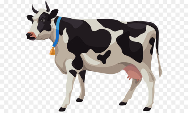 beef cattle,dairy cattle,stock photography,livestock,royaltyfree,photography,encapsulated postscript,fotolia,depositphotos,farm,cattle,bull,horn,cow goat family,dairy,ox,cattle like mammal,dairy cow,calf,png