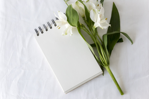 dcor,elevated,fragility,overhead,softness,freshness,botany,still,lilies,pollen,high,empty,objects,angle,blank,petal,soft,grow,lily,flora,beautiful,view,blossom,botanical,notepad,fresh,page,life,growth,spiral,decorative,natural,desk,elegant,backdrop,notebook,white,leaves,beauty,table,nature,paper,leaf,flowers,floral,flower,pattern,background