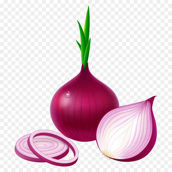 potato onion,red onion,vegetable,garlic,white onion,stock photography,scallion,yellow onion,stock,ingredient,onion,food,petal,still life photography,plant,magenta,onion genus,png