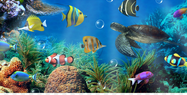 Free: Aquarium Android Desktop Wallpaper Aptoide Wallpaper - Aquarium -  
