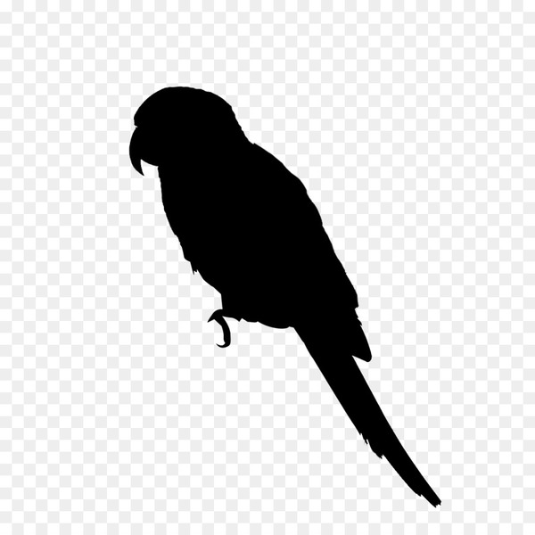 macaw,budgerigar,lovebird,bird,parakeet,parrots,pet,macaws,parrot,companion parrot,trichoglossus,beak,loriini,true parrot,black,silhouette,wing,tail,budgie,png