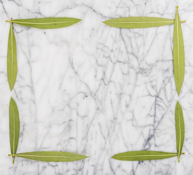 border,ornament,green,table,space,cute,leaves,tropical,square,flat,plant,organic,natural,ecology,marble,life,studio,element,simple