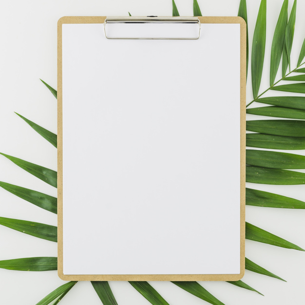 lay,seasonal,summertime,blank,flat lay,clipboard,concept,clip,top view,top,season,view,sunshine,workspace,vacation,desk,flat,white,holiday,sun,office,sea,beach,paper,template,summer,business