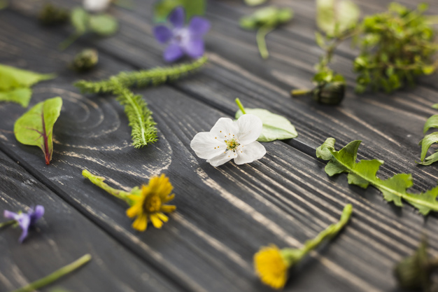 background,banner,flower,floral,flowers,texture,wood,template,leaf,green,nature,table,layout,background banner,spring,leaves,wood texture,yellow,backdrop,wood background