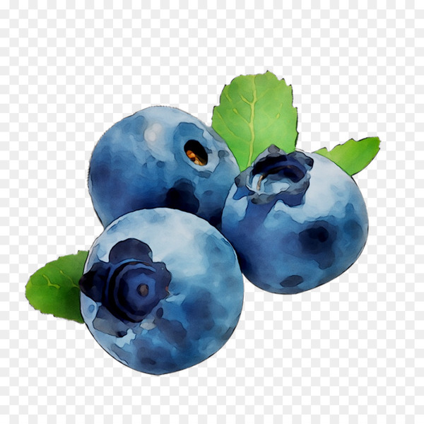 bilberry,blueberry,ice cream,cocoberry icecream limited,milkshake,french toast,toast,wave,superfood,shopping,goods,unit of measurement,durio zibethinus,common guava,hong kong,berry,blue,fruit,european plum,plant,food,blackberry,currant,huckleberry,png
