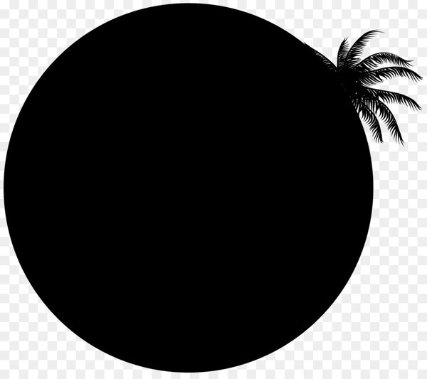 smartphone,us sentencing commission,popsockets,popsockets grip stand,samsung galaxy note 9,iphone xr,apple,washington dc,samsung galaxy,iphone,mobile phones,black,circle,leaf,tree,blackandwhite,palm tree,plant,black hair,oval,arecales,monochrome,silhouette,png
