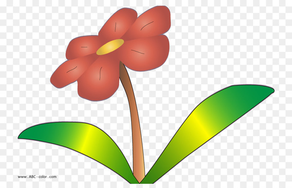 flower,raster graphics,drawing,petal,creative commons license,color,plants,photography,plant stem,plant,flowering plant,botany,pedicel,leaf,anthurium,png