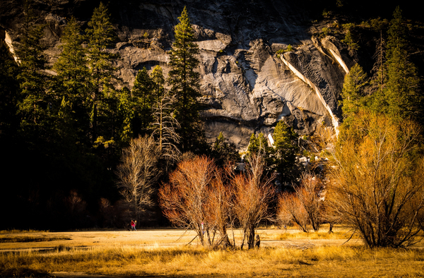 cc0,c1,valley,mountains,yosemite,yosemite valley,national parks,landscape,nature,sky,travel,rock,peak,scenic,outdoor,park,scenery,environment,hiking,natural,sun,morning,tree,grass field,winter,cold,golden,free photos,royalty free