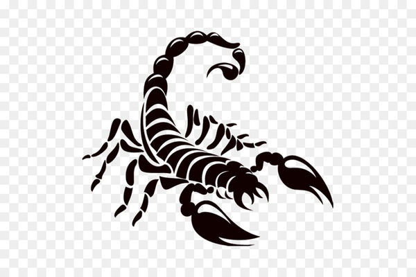 scorpion,logo,drawing,silhouette,stencil,tattoo,sticker,vinyl cutter,invertebrate,black and white,arachnid,organism,arthropod,membrane winged insect,claw,png