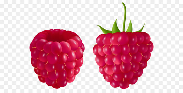 raspberry,berry,blue raspberry flavor,blackberry,fruit,food,computer icons,ingredient,boysenberry,frutti di bosco,natural foods,superfood,produce,cranberry,png