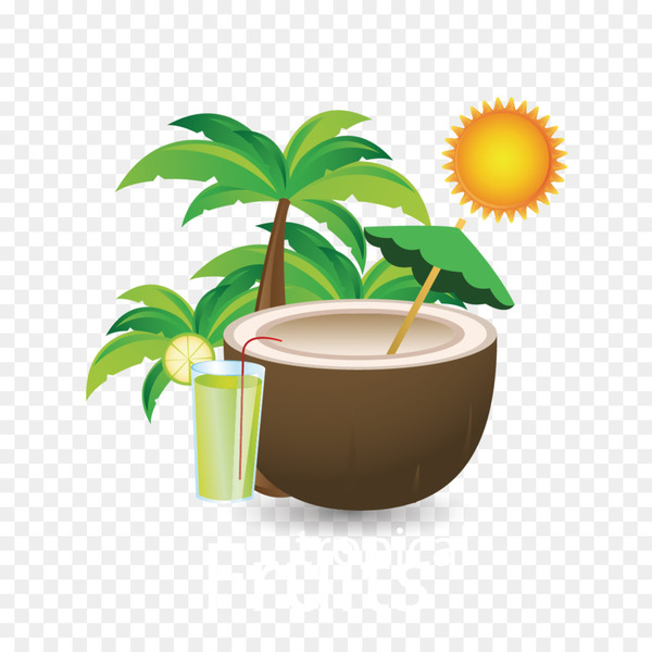 juice,coconut water,coconut milk,coconut,fruit tree,drink,tree,fruit,signage,plant,leaf,cup,flowerpot,coffee cup,png