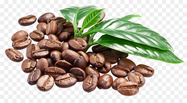 coffee,espresso,coffee bean,caffè macchiato,bean,arabica coffee,jamaican blue mountain coffee,cocoa bean,superfood,caffeine,kona coffee,commodity,png