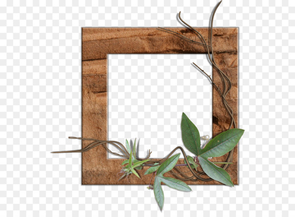 leaf,picture frames,element,gold leaf,download,decorative arts,wood,green,picture frame,flora,twig,rectangle,png