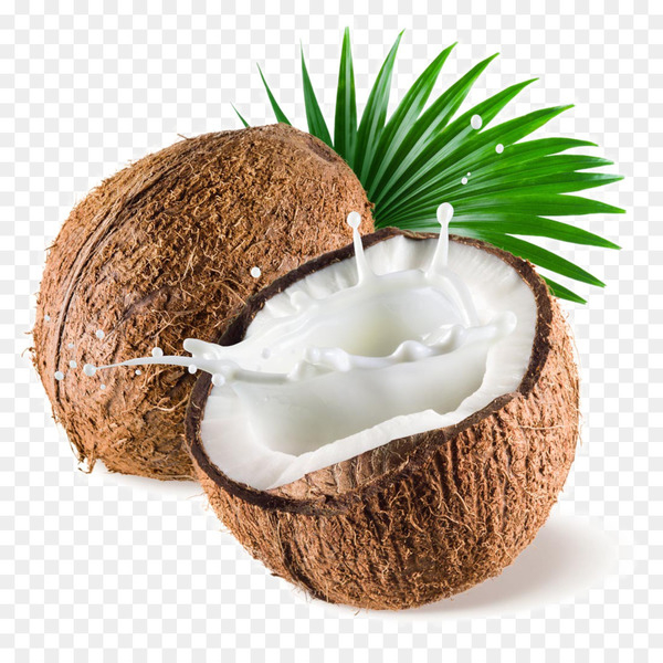 coconut,milk,powder,water,fresh,png