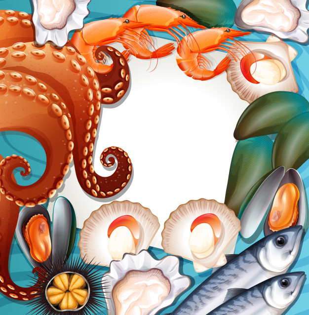 urchin,mackerel,mussels,scallop,prawn,oyster,squid,clipart,cuisine,set,delicious,lobster,collection,salmon,graphic background,clip,clip art,background food,crab,shrimp,fresh,octopus,shell,picture,symbol,seafood,nature background,egg,food background,drawing,cook,graphic,art,fish,sea,nature,food,background