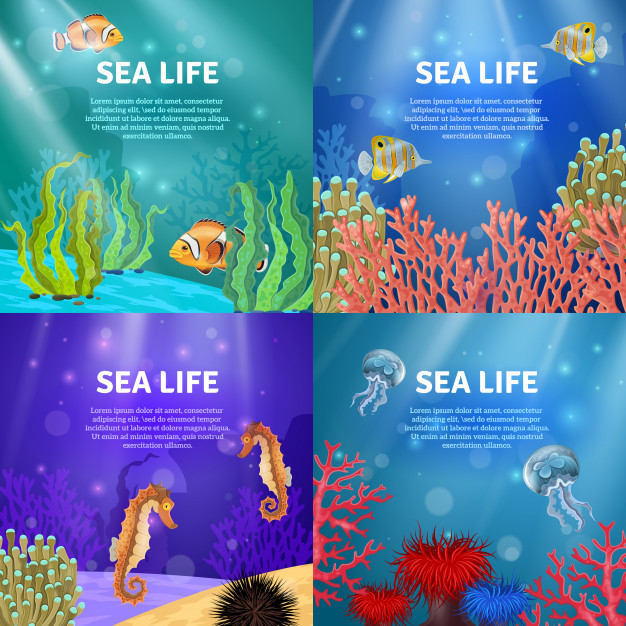 anemones,urchin,seabed,depth,reef,seahorse,jellyfish,seaweed,set,starfish,coral,icon set,computer network,computer icon,business technology,marine,underwater,dark,social icons,clown,sand,social network,web icon,business icons,life,business infographic,media,service,industry,ocean,natural,social,internet,tropical,colorful,network,bubble,web,icons,landscape,animal,fish,sea,cartoon,blue,infographics,social media,wave,light,computer,technology,water,abstract,business