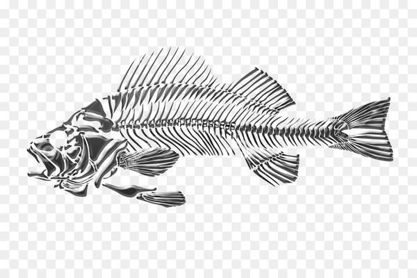 drawing,fish,skeleton,silhouette,art,bass,stencil,deviantart,angle,monochrome,black and white,png