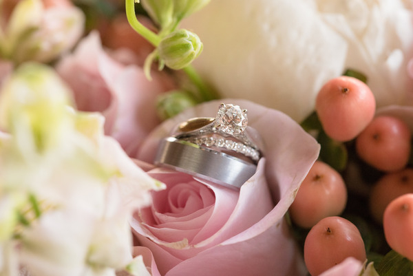 accessory,beautiful,bridal,close-up,flora,jewelry,jewelry band,precious,ring,romantic,rose