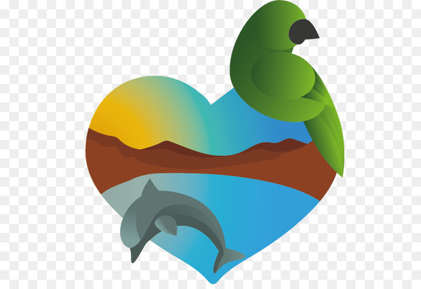 beak,bird,heart,teal,water bird,m095,organism,png