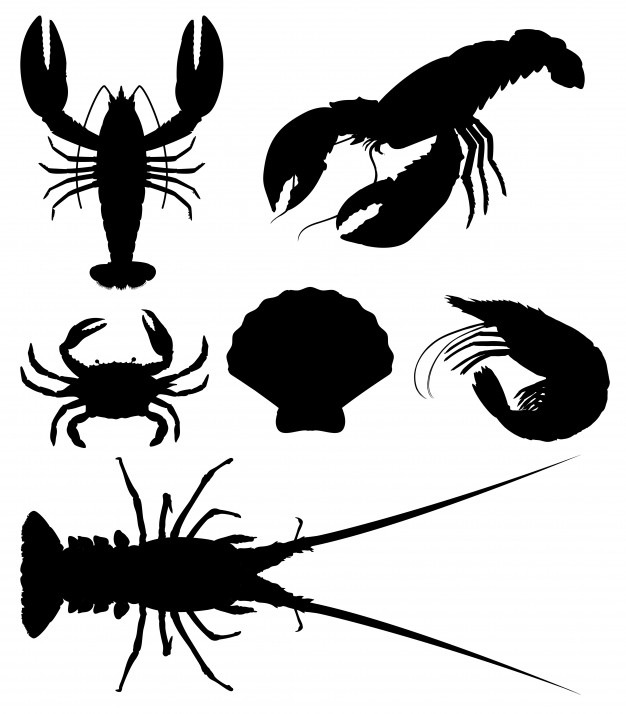 shellfish,scallop,prawn,clipart,set,lobster,icon set,graphic background,clip,clip art,background food,crab,shrimp,shell,picture,food icon,symbol,seafood,nature background,food menu,food background,ocean,drawing,silhouette,graphic,art,animal,nature,icon,menu,food,background