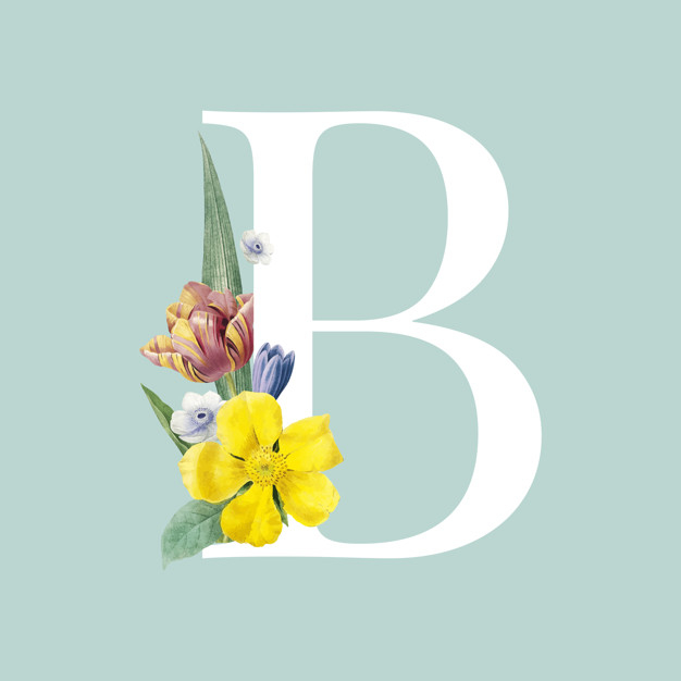floral font,hypericum,floral letter,decorated alphabet,flora letter,floral alphabet,pistachio green background,b,uppercase,blossoming,capital letter,decorated,typeface,anemone,botany,illustrated,blooming,isolated,pistachio,capital,bloom,ornate,floral design,theme,flora,style,beautiful,tulip,blossom,botanical,lettering,letters,symbol,decorative,illustration,decoration,plant,letter,graphic,font,alphabet,leaves,spring,typography,character,green,summer,ornament,design,floral,flower,background