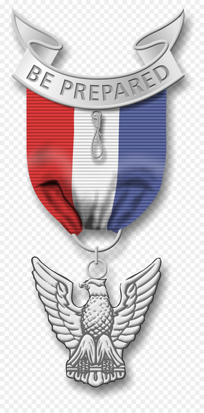 eagle scout,boy scouts of america,scouting,medal,distinguished eagle scout award,ranks in the boy scouts of america,eagle scout service project,scout troop,court of honor,badge,award,gold award,emblem,symbol,logo,wing,png