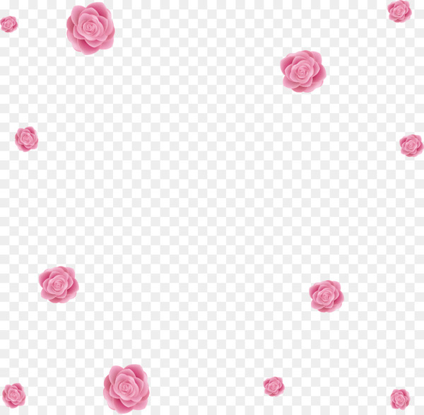 beach rose,pink,flower,valentines day,heart,point,download,encapsulated postscript,color,rose,petal,textile,circle,magenta,line,png