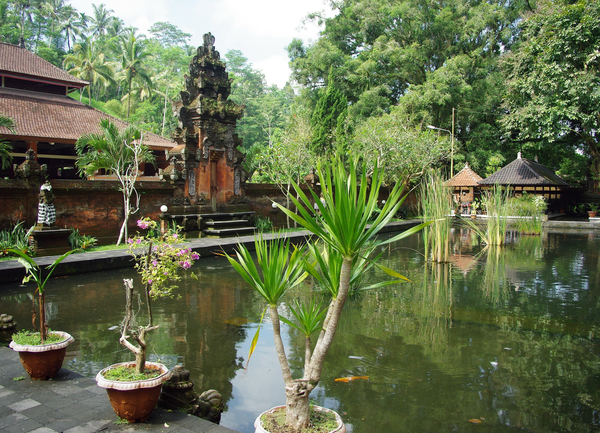 cc0,c1,indonesia,bali,temple,basin,water,garden,free photos,royalty free