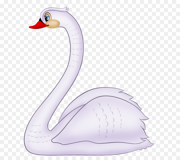 Free: Cygnini Duck Bird Cartoon Clip art - White Swan 