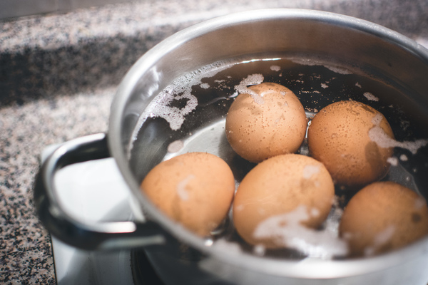 boiling,cooking,egg,home,kitchen,kitchenware