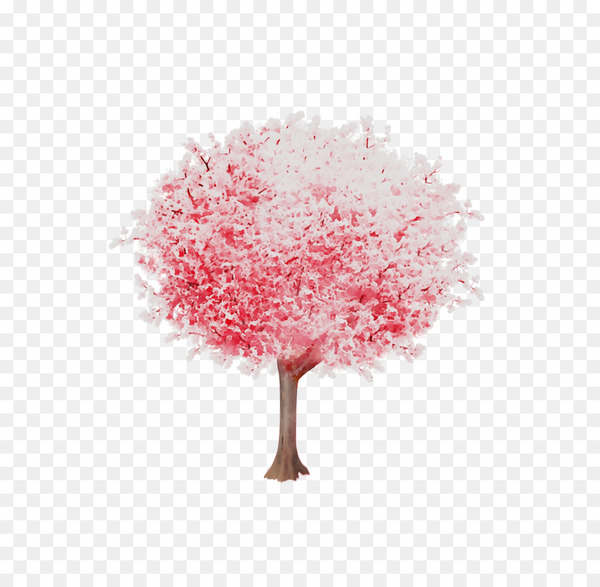 cherry blossom,stau150 minvuncnr ad,pink m,cherries,blossom,pink,tree,plant,woody plant,flower,hydrangea,cut flowers,png