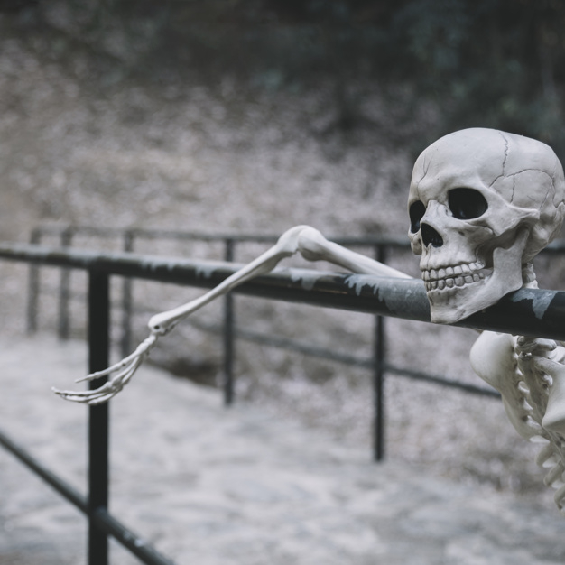 halloween,man,autumn,skull,celebration,holiday,human,square,white,decorative,bone,female,young,skeleton,horror,death,scary,october,fear,alone